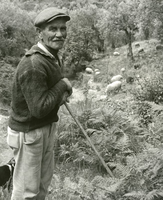 Wolf Suschitzky «Ταξίδι στην Ελλάδα του ’60»