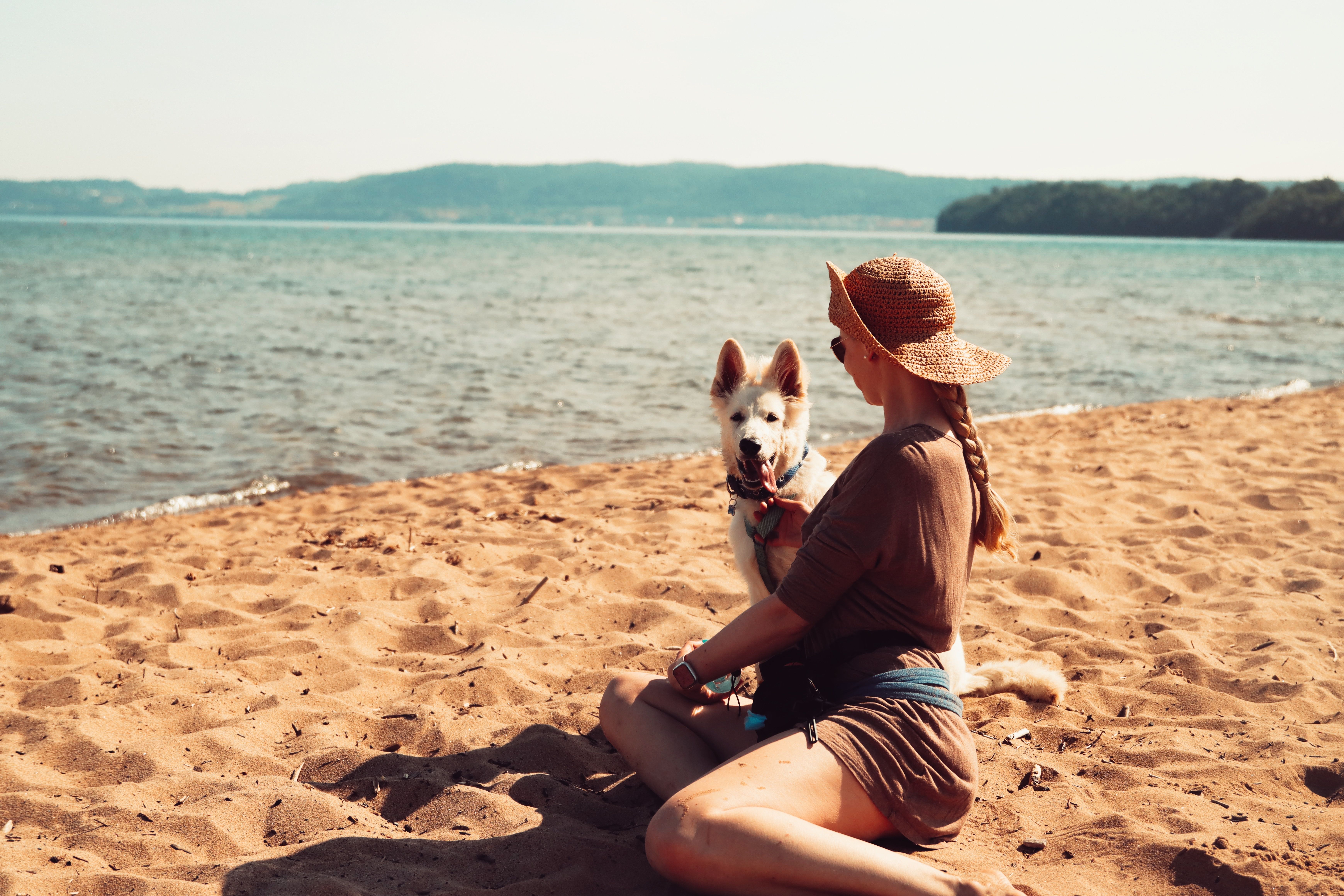The Ultimate Guide to Pet-Friendly Holidays in Greece
